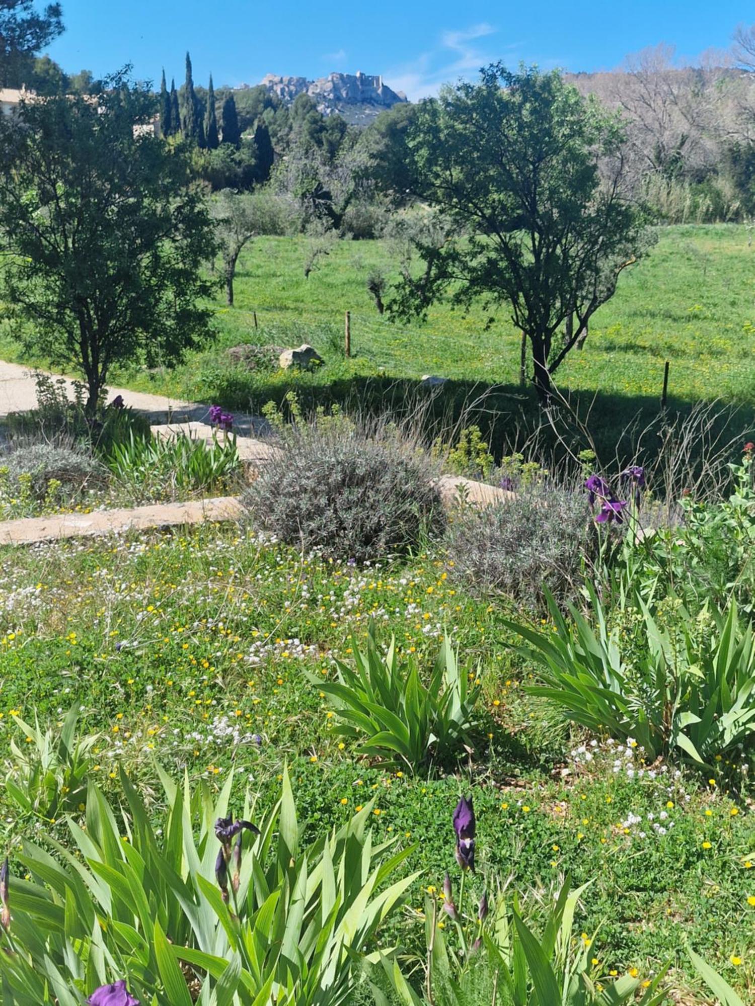Domaine Du Mas Foucray Aparthotel Les Baux-de-Provence Ngoại thất bức ảnh